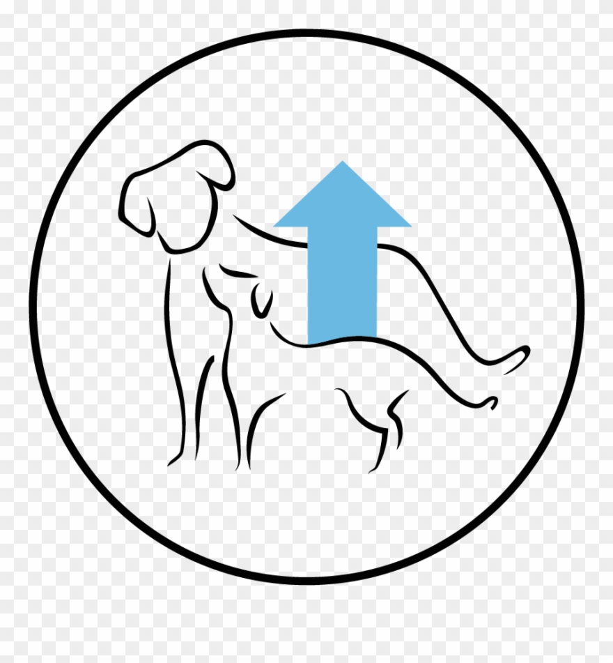 Arion Original Puppy Small Chicken And Rice - Dog Clipart