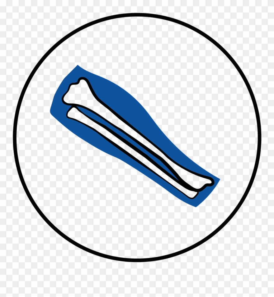 Arion Original Puppy Small Chicken And Rice - Bone Clipart