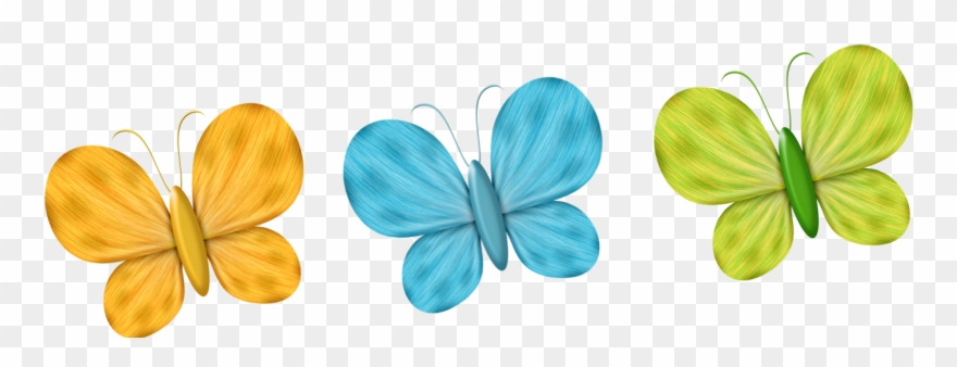 Mariposas, Libélulas - School Clipart