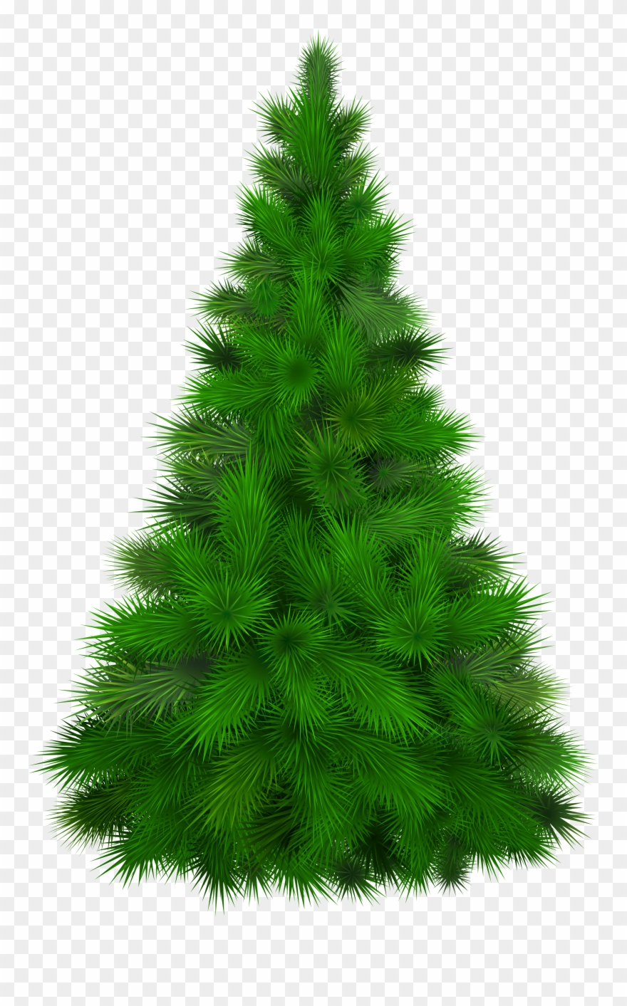 Green Pine Tree Png Clip Art Transparent Png