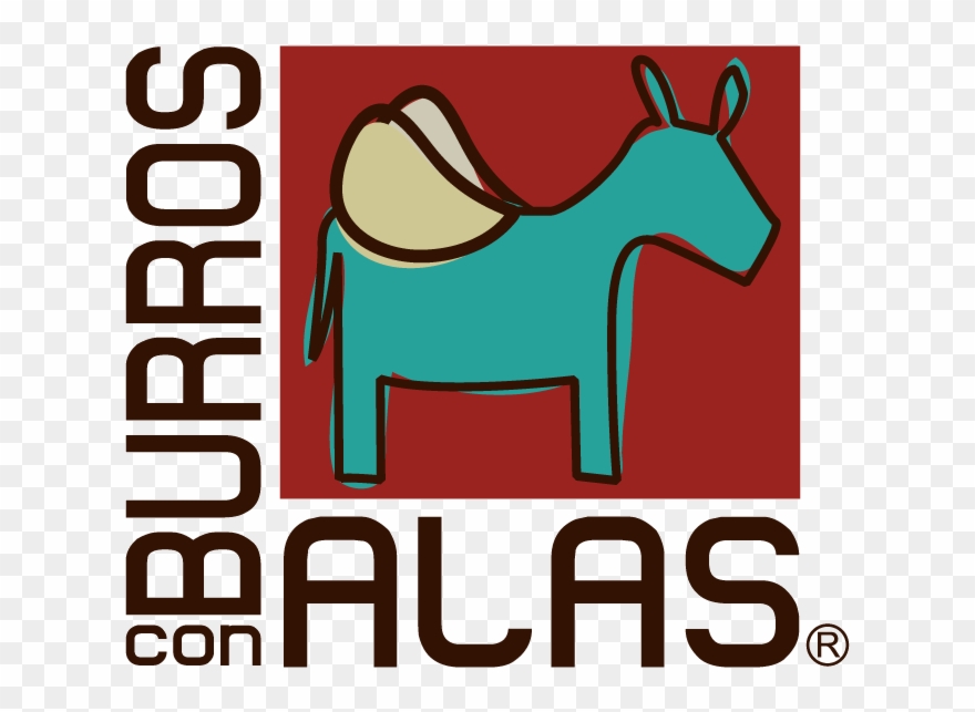 Burros Con Alas - Photography Clipart