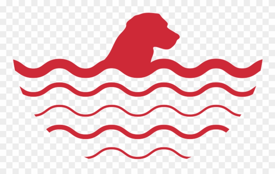 Hydrotherapy We Are Able To Provide Your Dog With Treatment - Illustration Clipart