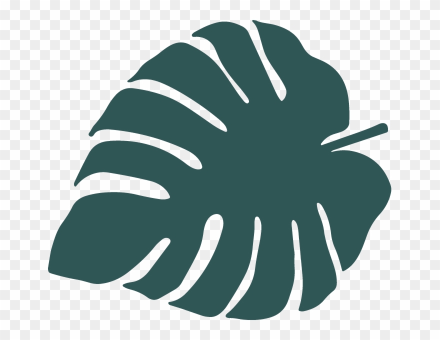 Palm - Laforma Wooden Picture Frame 43x63 Amit Pure White Clipart