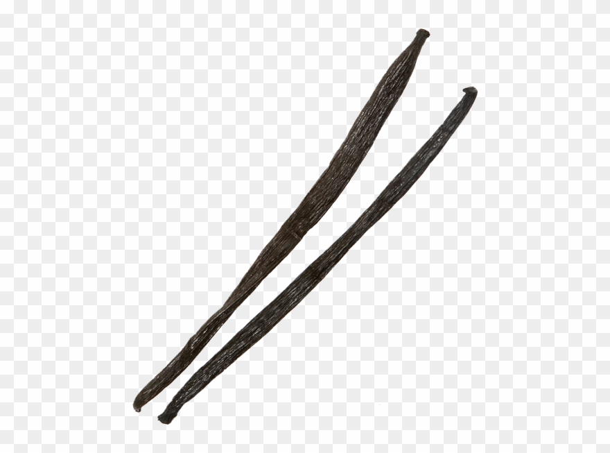 Vanilla Bean Png Transparent Image Clipart