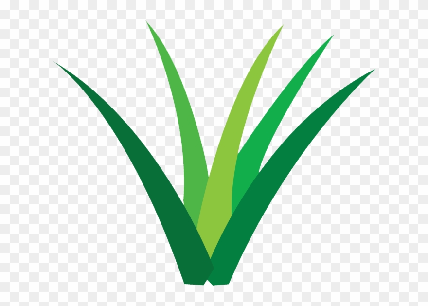 Plant Power Fast Food Clipart