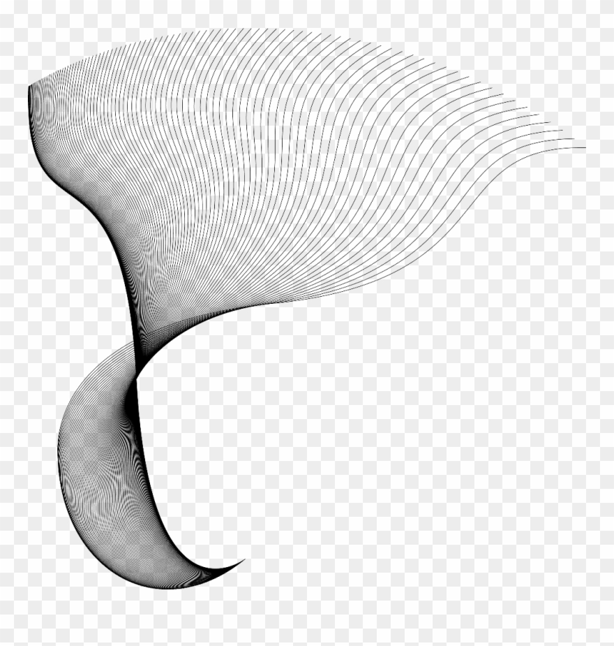 Curves Vector Clipart Stock - Vector Graphics - Png Download