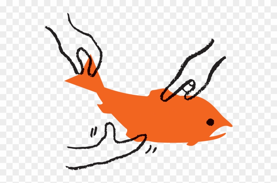 Allison Ball Clipart