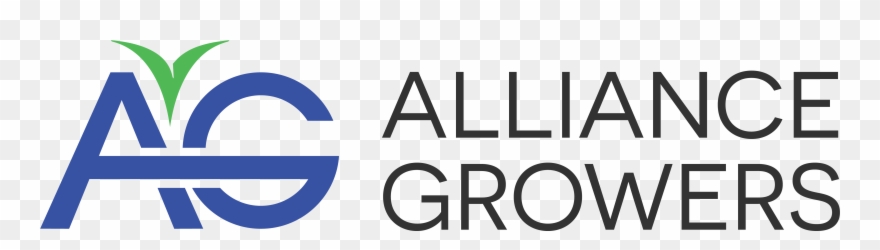 Orange Grove Athens Logo Clipart