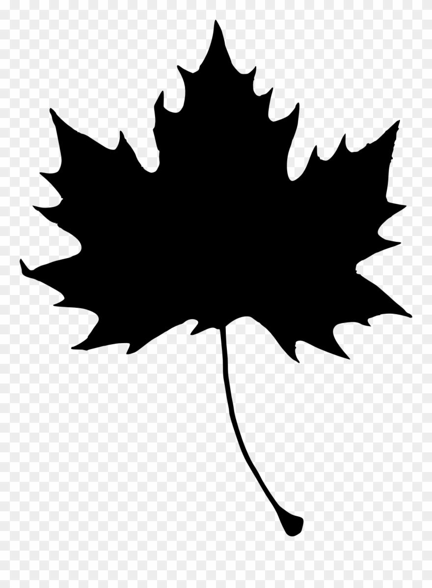Maple Leaves Silhouette At - 楓 の 葉 イラスト Clipart