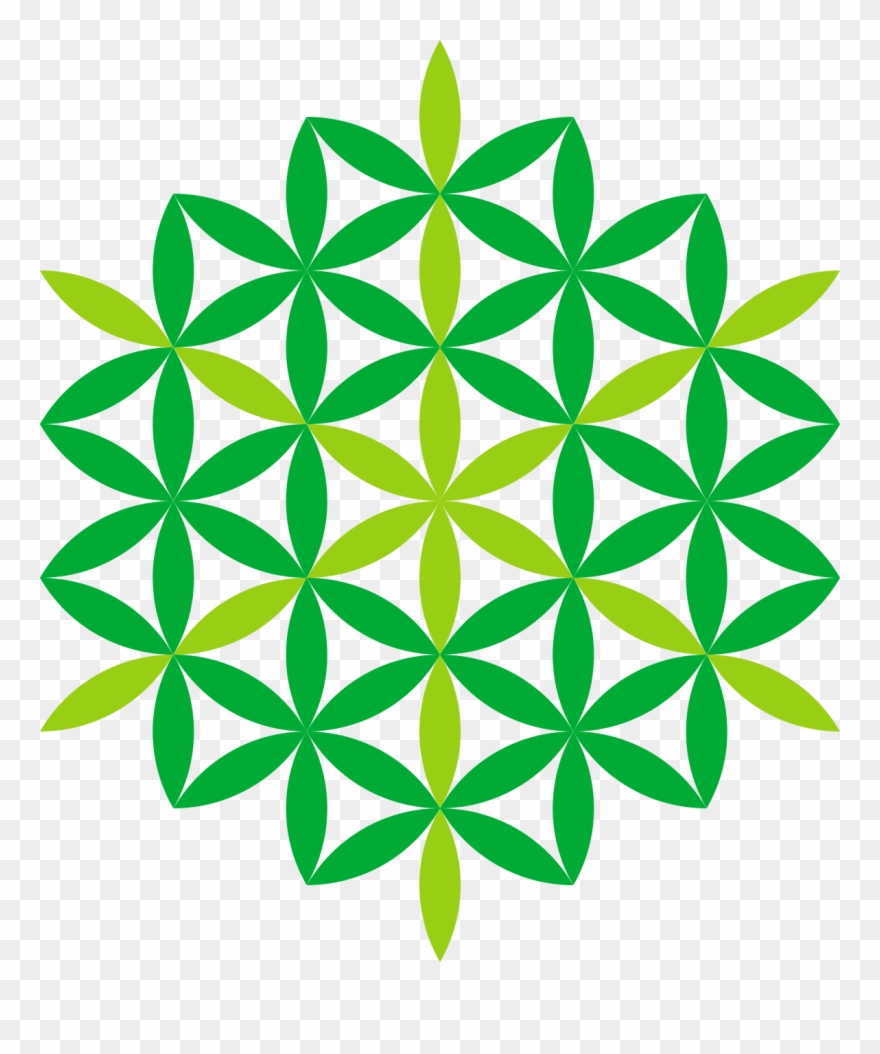 Thracian Center For Cochlear Implantation - Color Flower Of Life Tattoo Clipart