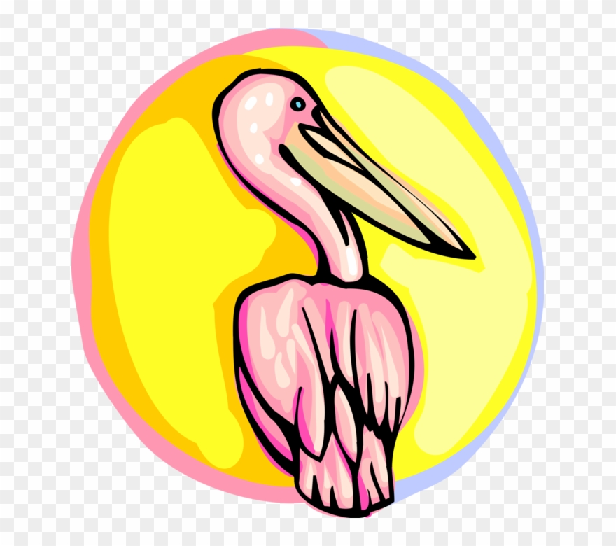 Clip Art Black And White Stock Pelican Vector Cartoon - Png Download
