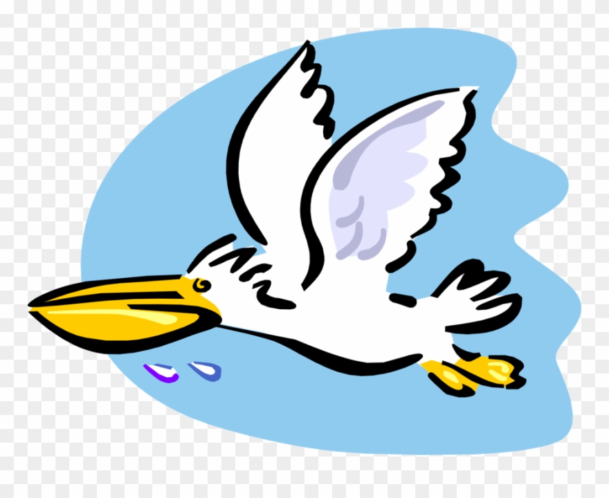 Vector Illustration Of Large Water Bird Pelican Flying - Clip Art - Png Download
