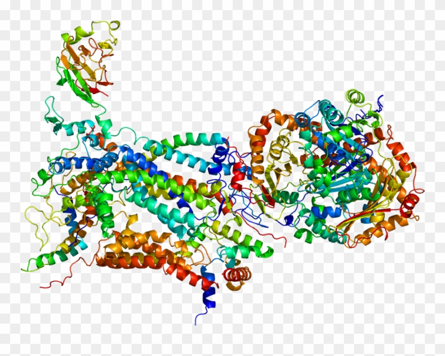 Aldolase B Structure Clipart