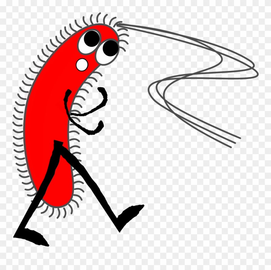 Germ Virus Bacteria Infection Png Image - Clipart Of Bacteria Transparent