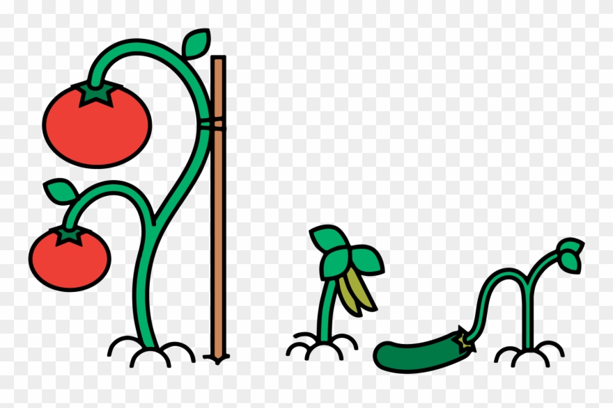 Better Management With Fewer Managers - Management Clipart