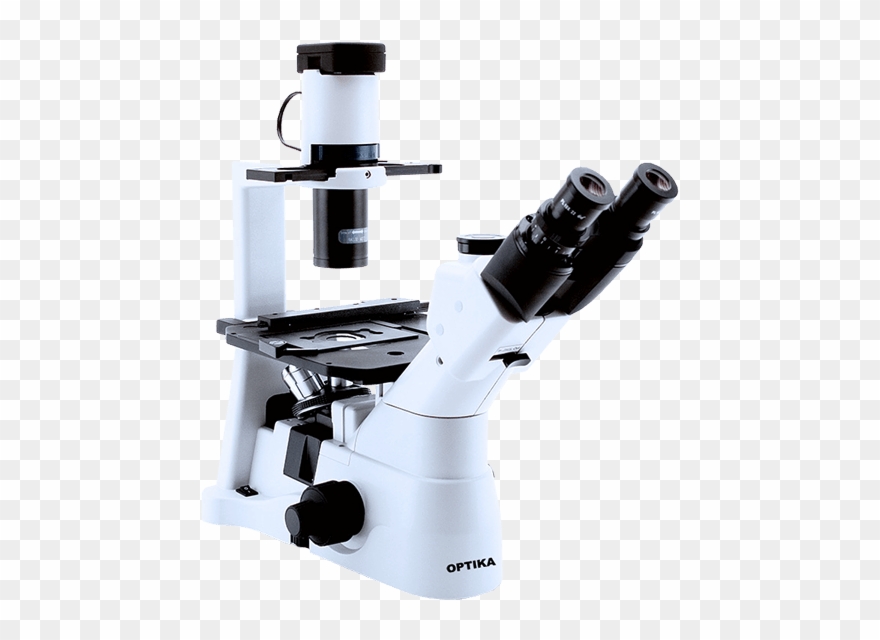 Микроскоп Xds-3lt - Optika Xds 3 Clipart