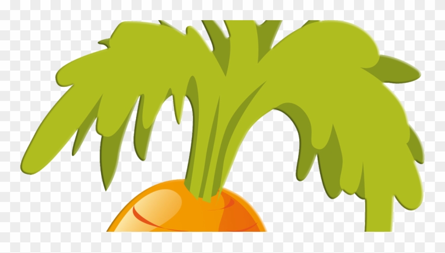 Fruits And Vegetables Animation Clipart