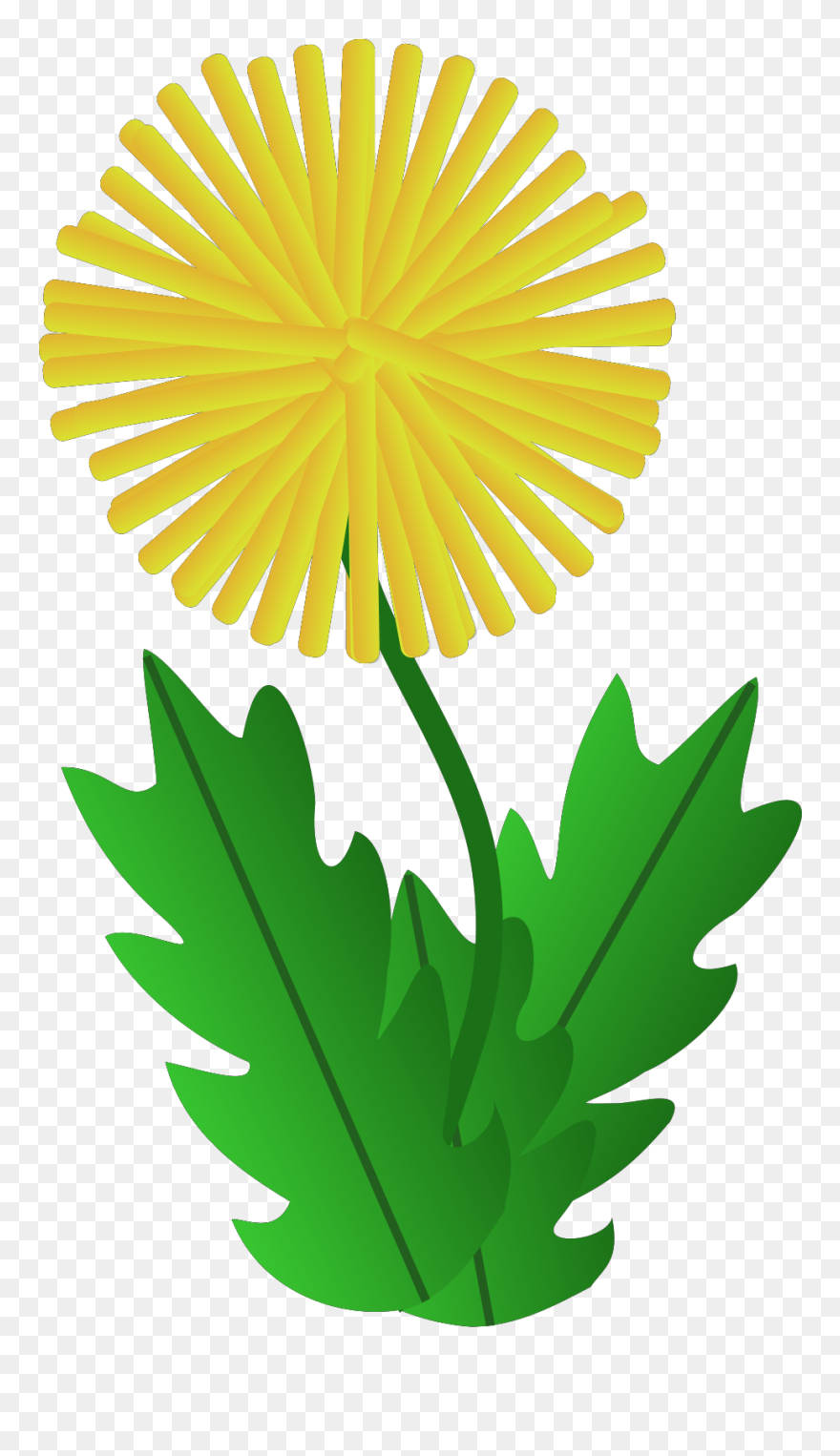 Flower - Dandelion Clipart