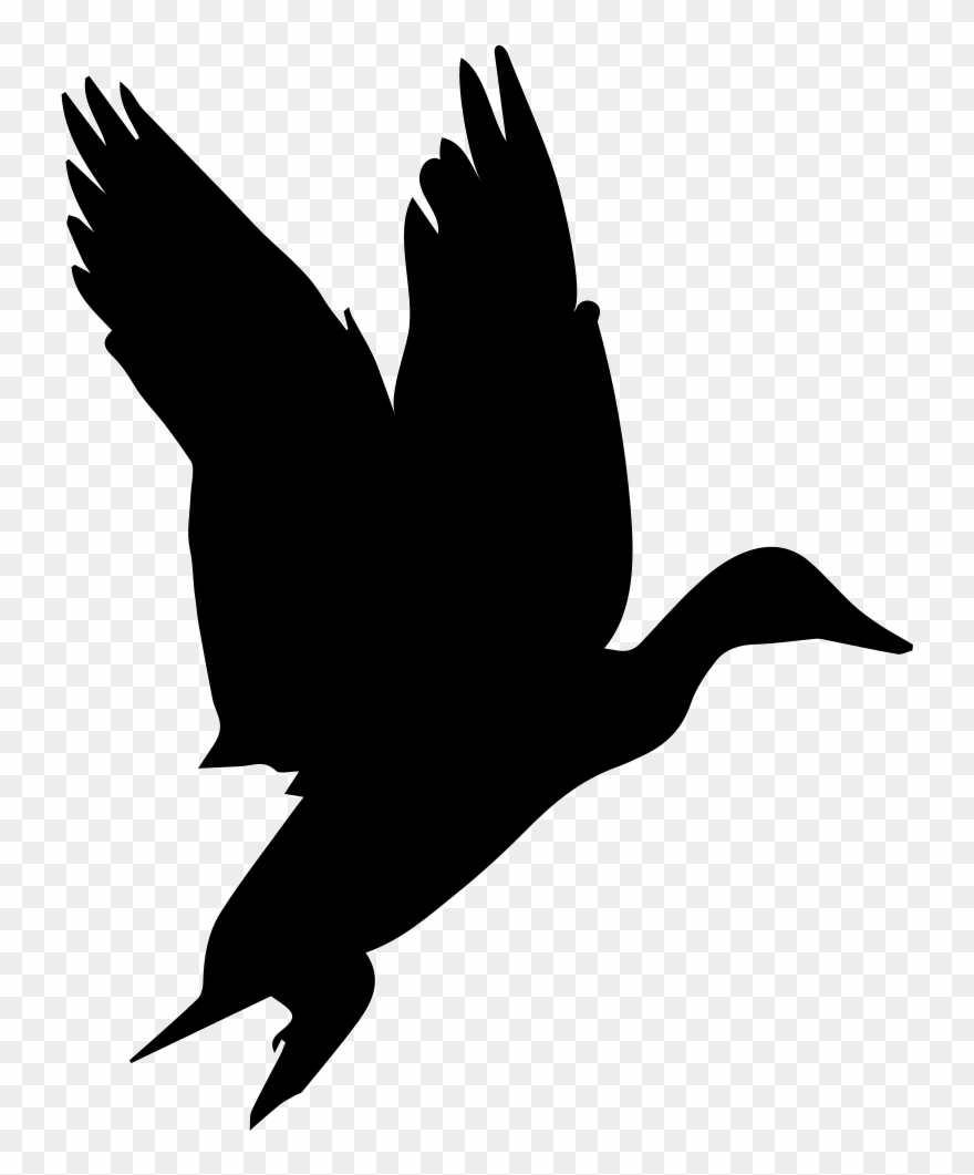 Clipart Bird Waterfowl Shape Png Icon Free Download Transparent Png