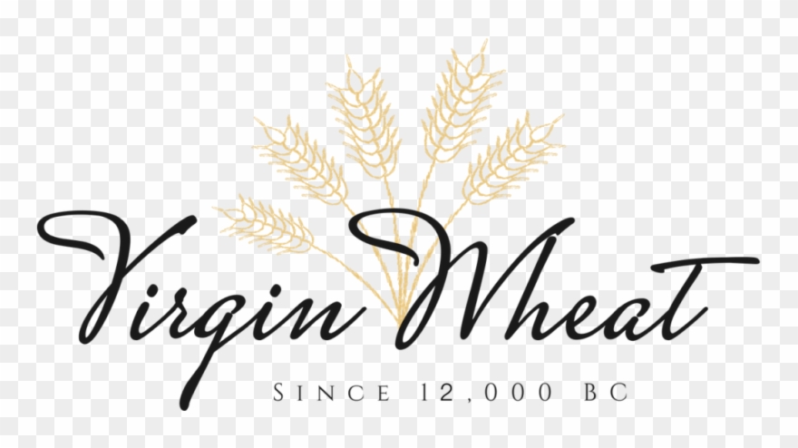 Permanent Makeup Clipart