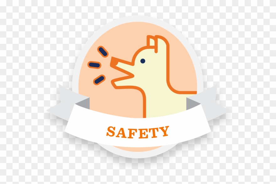 Traveling Tips Photography Tips Safety Tips Comfort - Photography Clipart