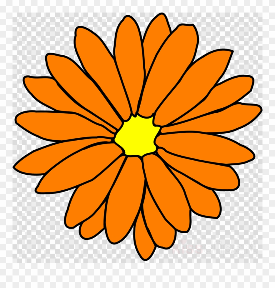 Get Well Soon Coloring Pages Clipart Colouring Pages - Get Well Soon Flower Colouring Pages - Png Download