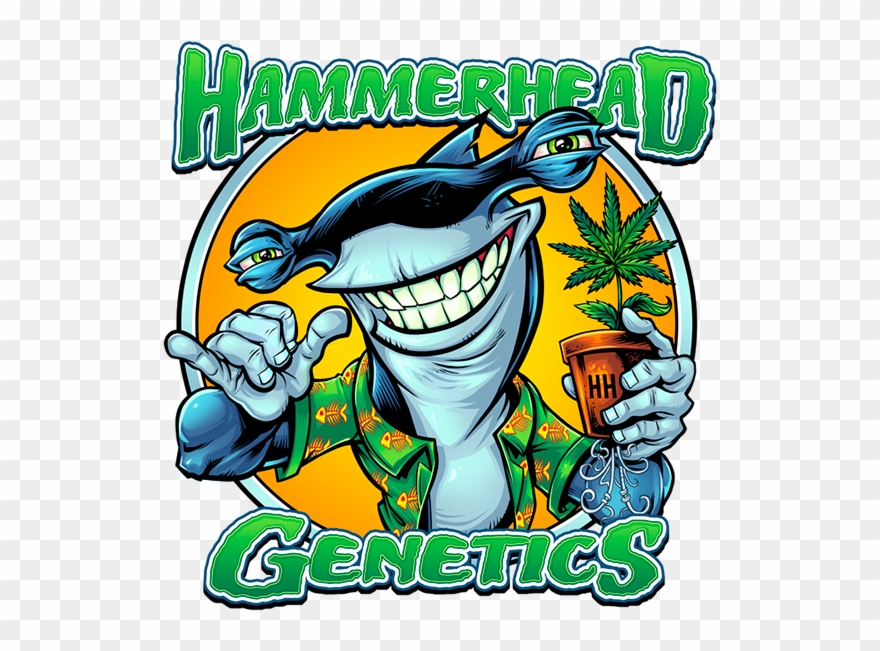 Hammerhead Genetics Logo - Hammerhead Shark Clipart