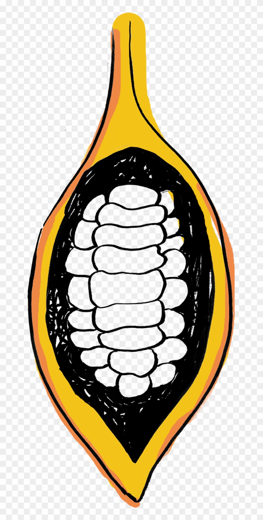 Cacao Pod Split Open Graphic - Cocoa Bean Clipart