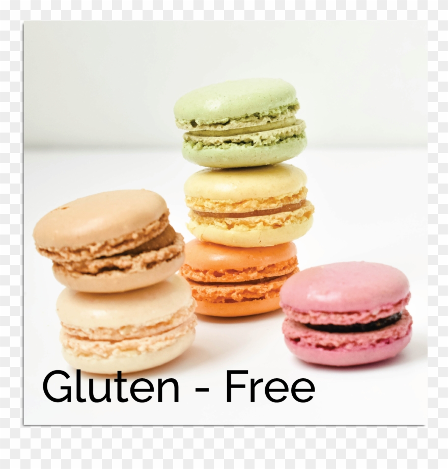 Cocoa Bean For Every Day - Macaron Clipart