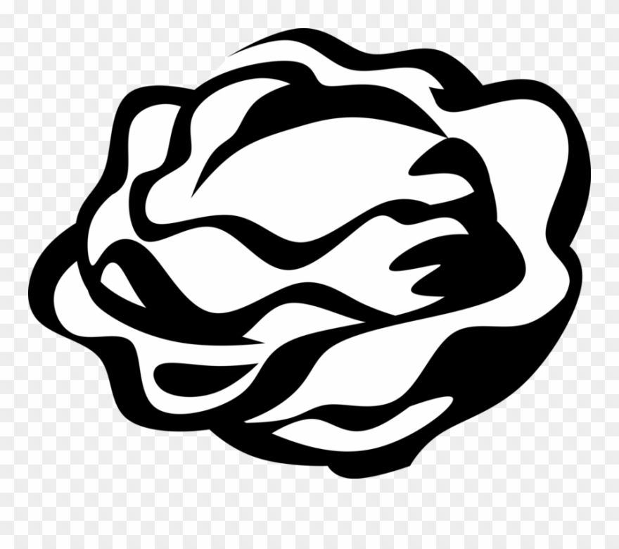 Clip Art Library Green Lettuce Image Illustration Of - Alface Vetor Png Transparent Png