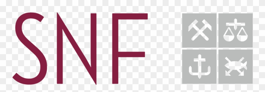 Main Project Partners - Snf Bergen Clipart