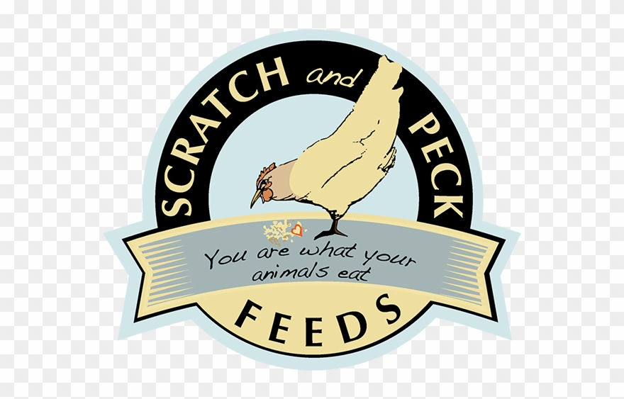 Scratch And Peck Logo - Sanctuary Lakes Cricket Club Clipart