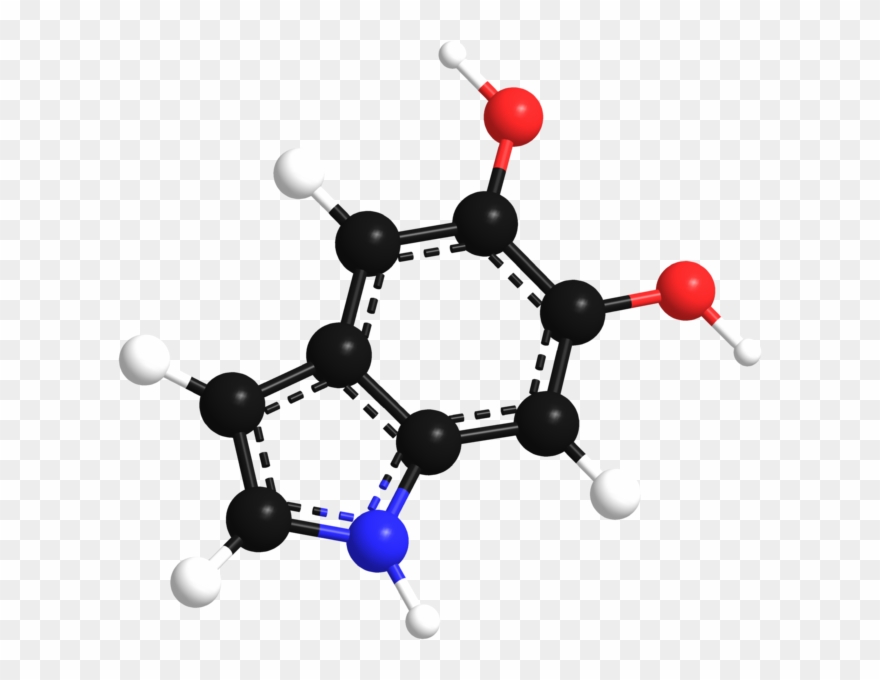Dihydroxylindol 3d Model Bonds - Organic Chemistry Clipart