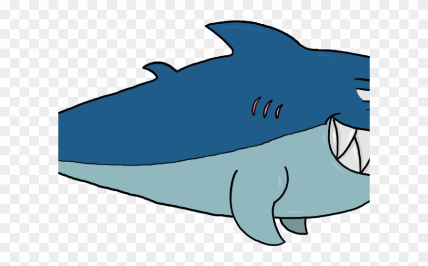 Mako Shark Clipart Carton - Shark - Png Download