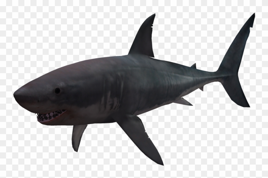 Great White Shark Clipart Pink - 3d Shark Png Transparent Png