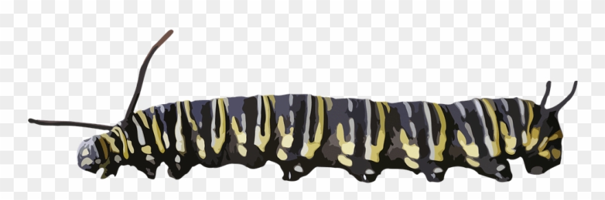 Caterpillar Clipart Transparent - Clip Art - Png Download
