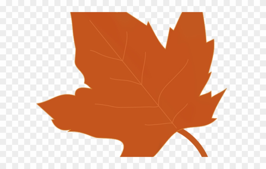 Autumn Leaves Clipart - Png Download