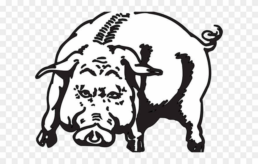 Skull Clipart Wild Boar - Sea Animals Pictures With Names - Png Download