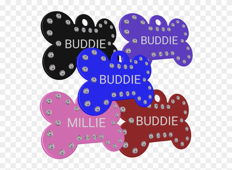 Pet Id Tags Clipart
