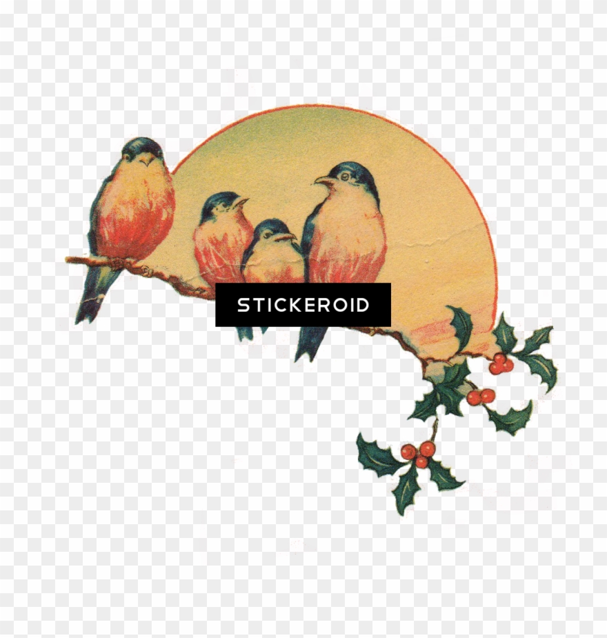 Vintage Clipart