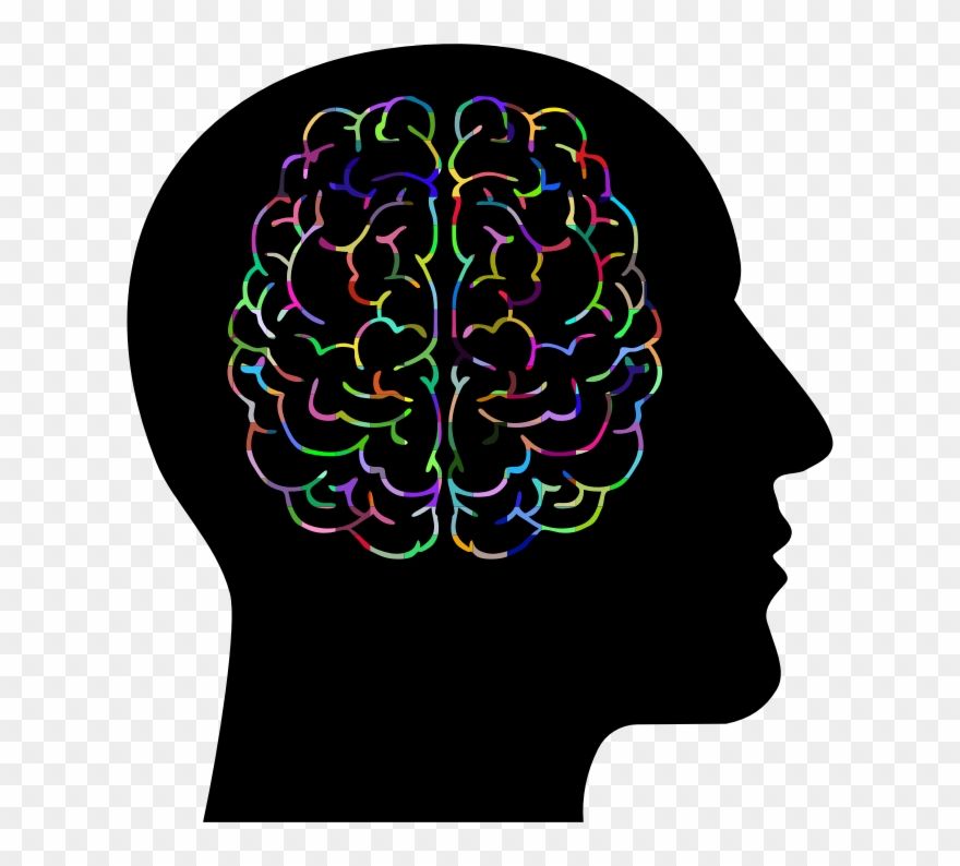 Medium Image - Brain In Head Png Clipart