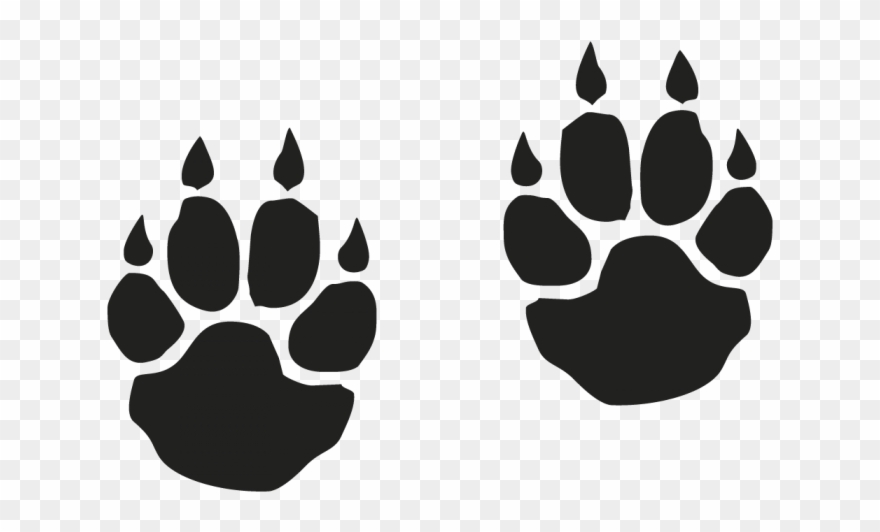 Tiger Paw Clipart - Footprint Of A Tiger - Png Download