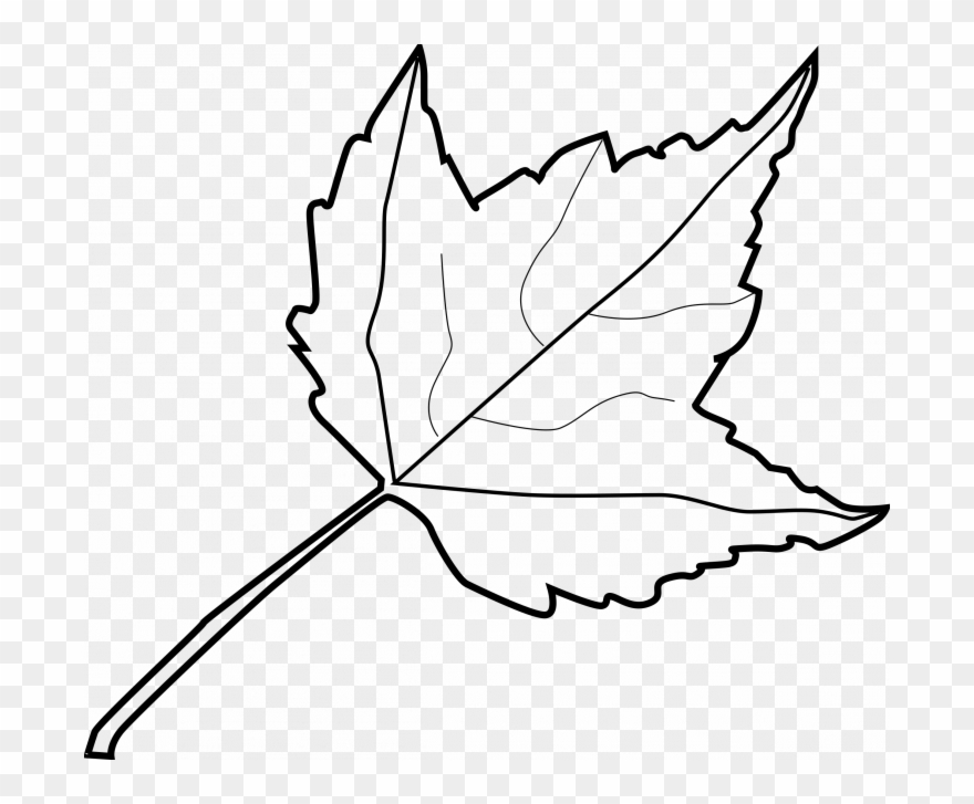 Medium Size Of How To Draw A Monarch Caterpillar And - Clipart Autumn Leaf Black And White - Png Download