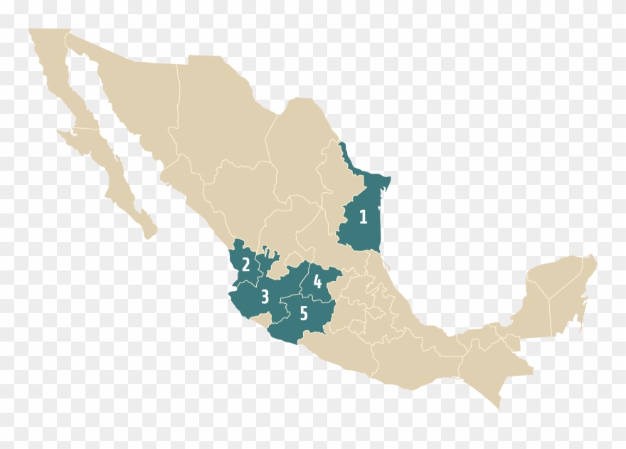 Agave Map - Mezcal - Black Square Sticker 3" X 3" Clipart