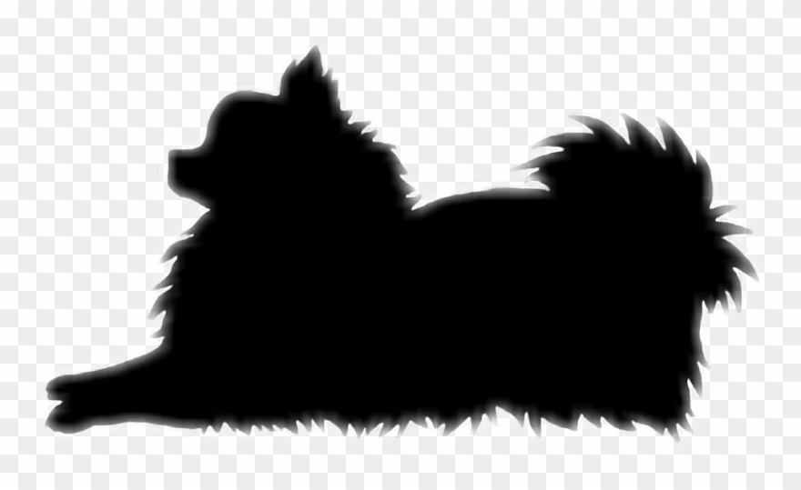 Silhouette Pomeranians A Closer Look At The Pomeranian - Dog Clipart