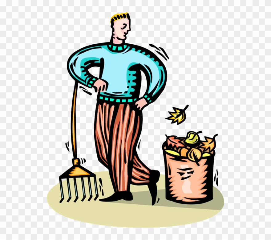 Caretaker Rakes Autumn Leaves Vector Image Illustration - Illustration Clipart