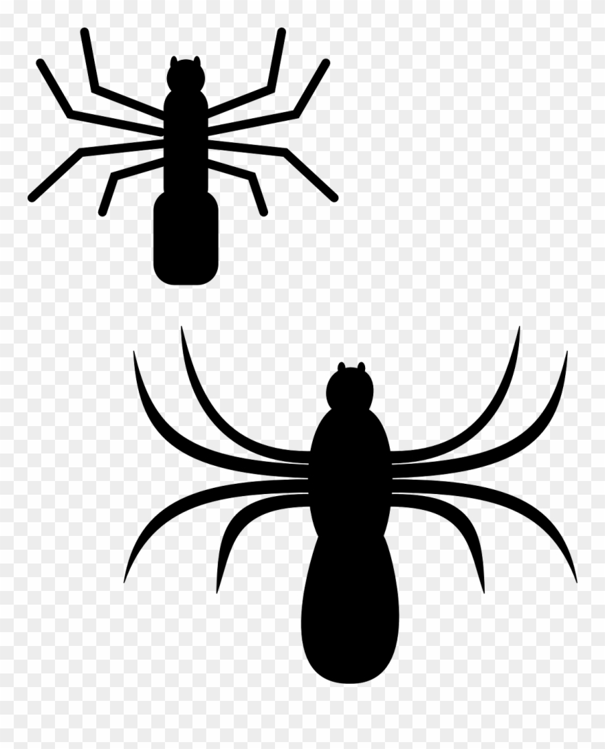 Spider Silhouette Bugs Insect Png Image - Spiders Clip Art Transparent Png