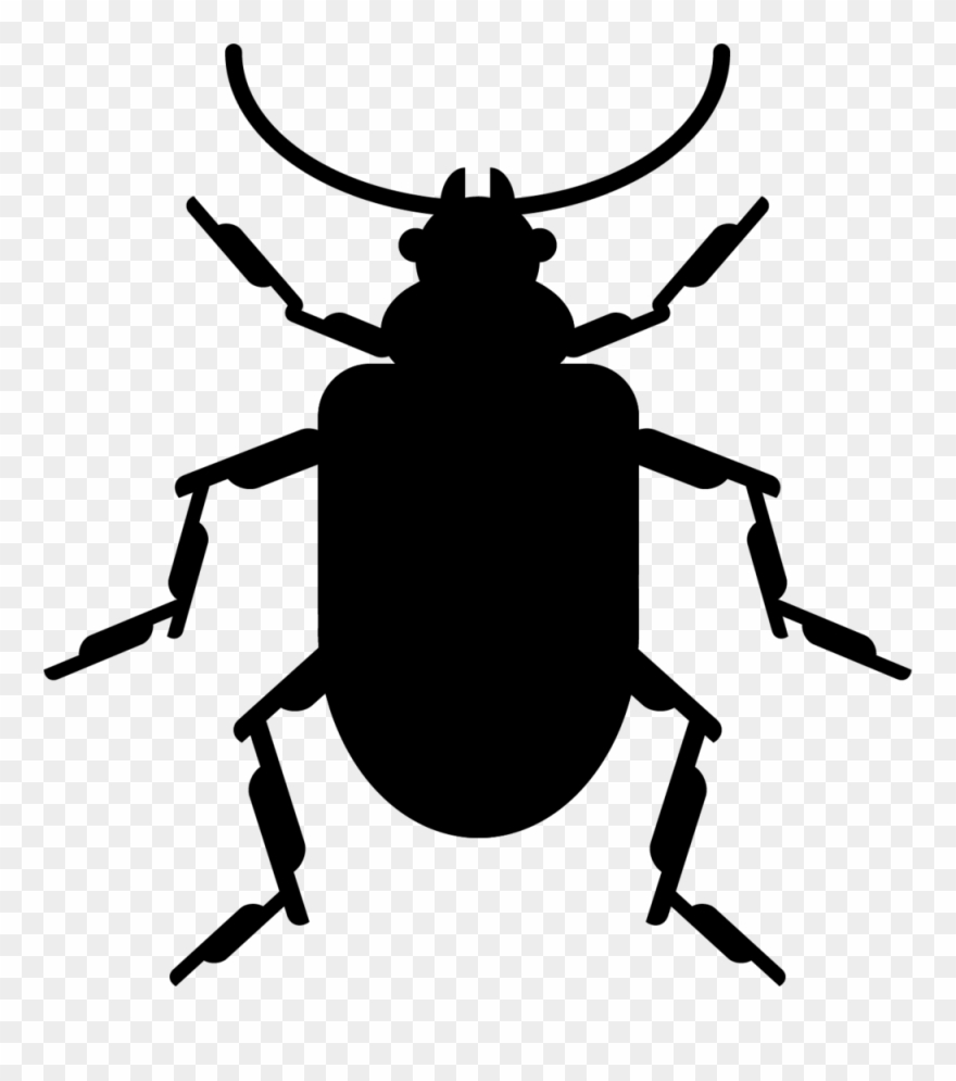 Leaf Beetle Clipart