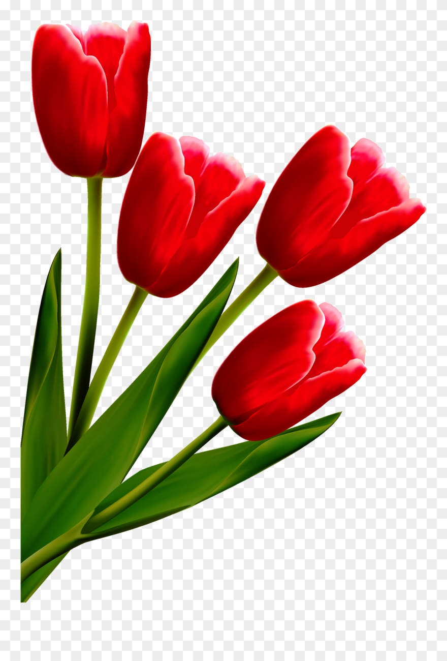 Clip Art Black And White Stock Flower Line Art Transprent - Png Download