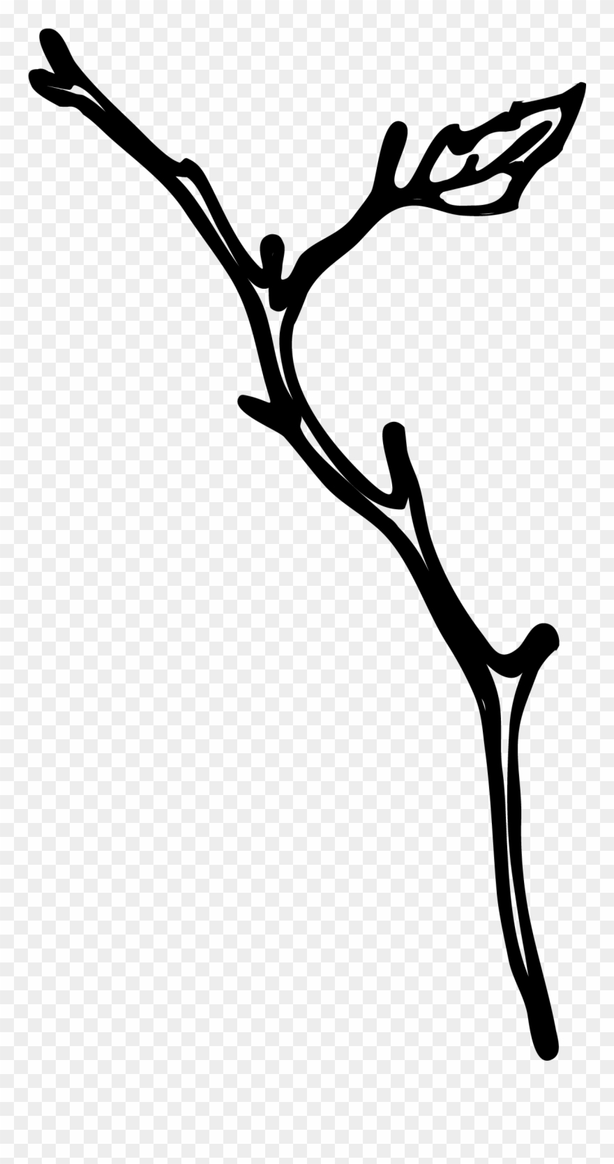 Maddie Mj - Twig Clipart